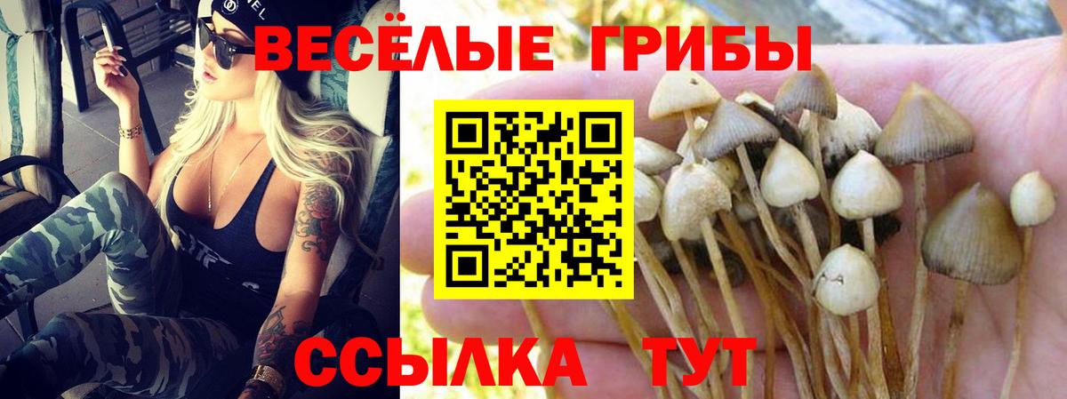 цены наркотик  Вход с VPN  Симферополь  Галлюциногенные грибы Psilocybine cubensis 
