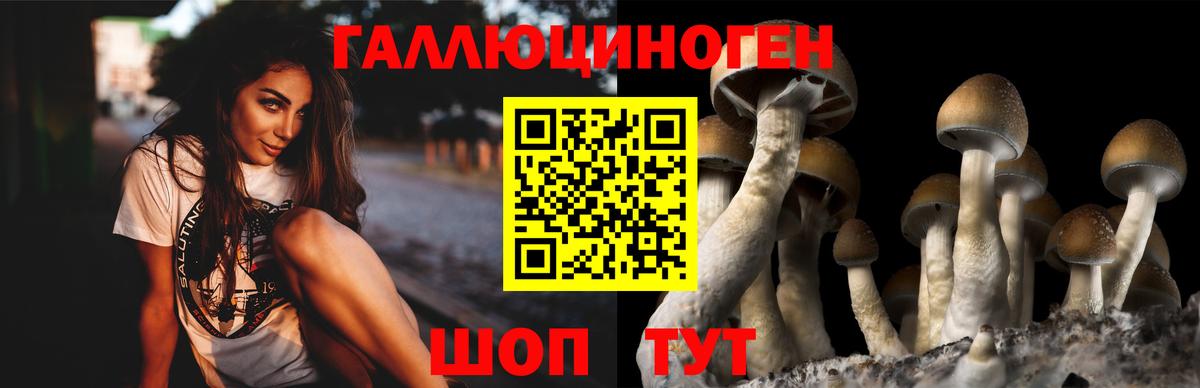 Псилоцибиновые грибы MAGIC MUSHROOMS Симферополь
